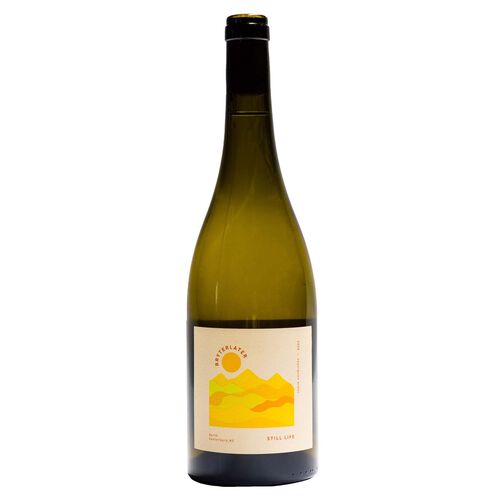 Bryterlater Still Life Sauvignon Blanc