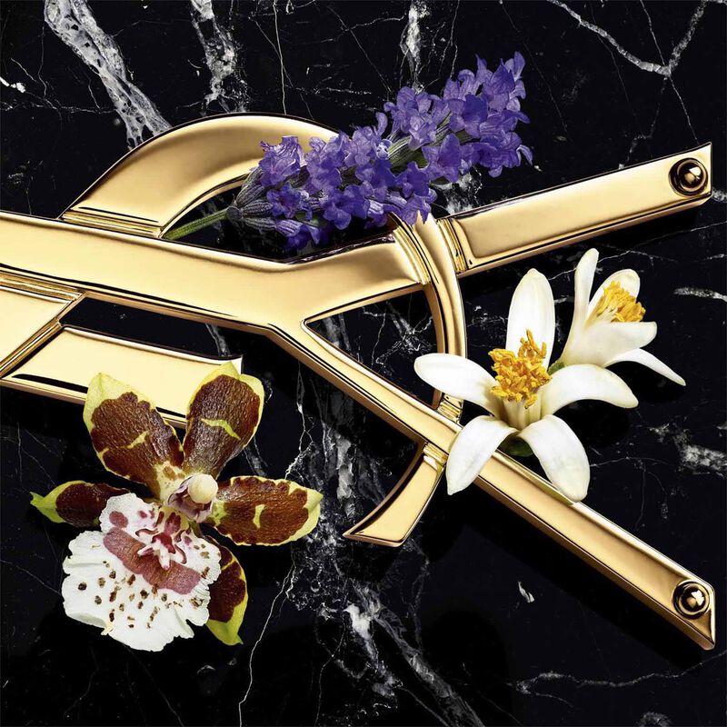 Yves Saint Laurent Libre EDP Intense 90ml image number 2