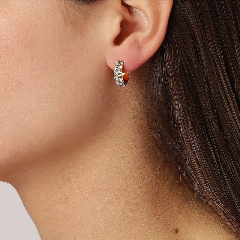 Dyrberg/Kern Heidi SG Crystal Earring image number 1