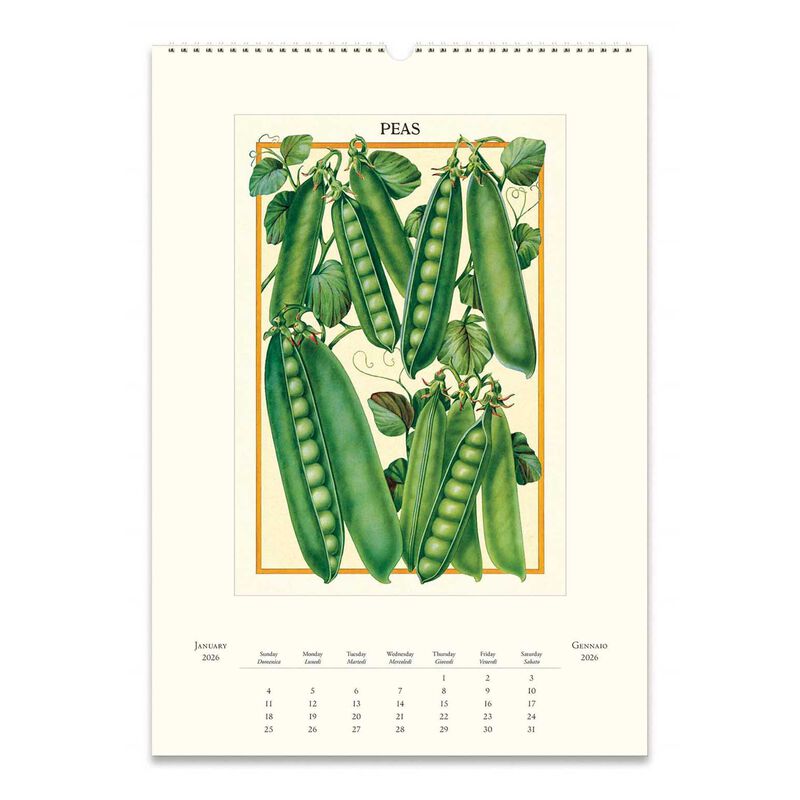 Cavallini Farmers Market 2026 Wall Calendar image number 1