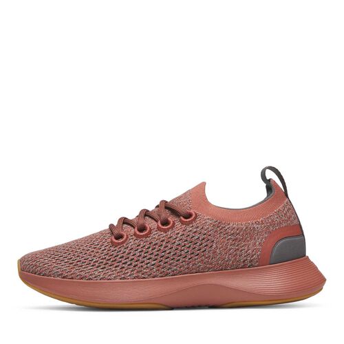 Allbirds Dasher NZ