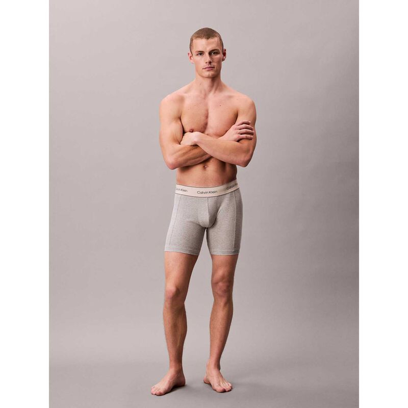 Calvin Klein Pima Cotton Boxer Briefs - 3 Pack image number 3