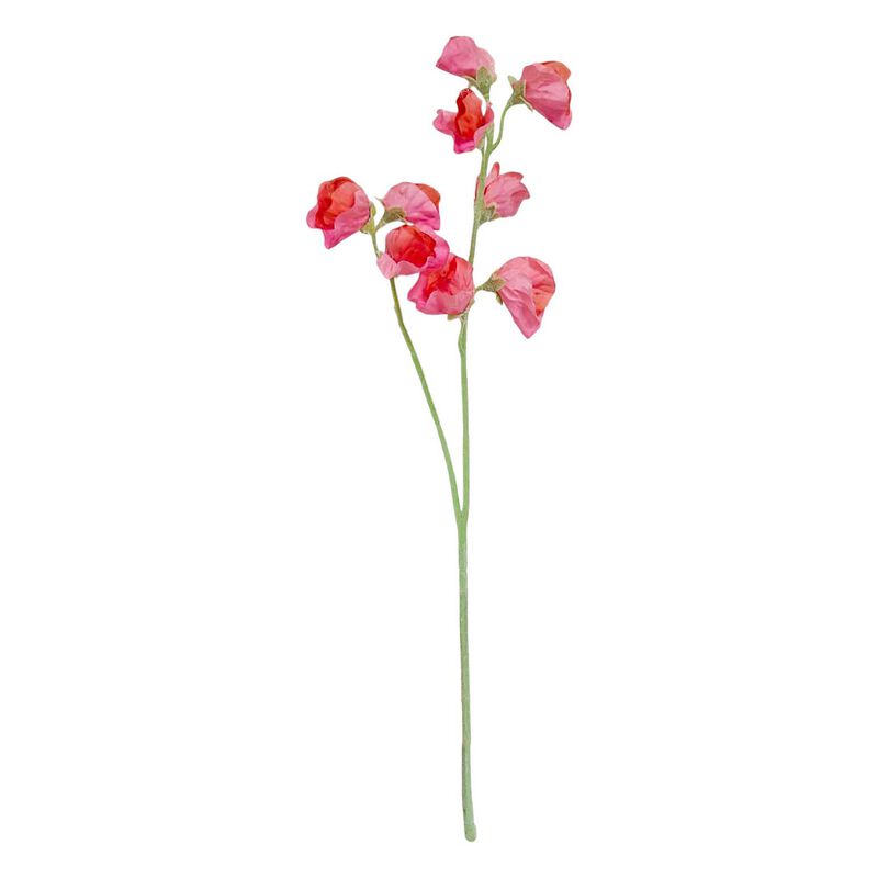 Alison's Acquisitions Sweetpea Spray x 2 - Salmon image number 0