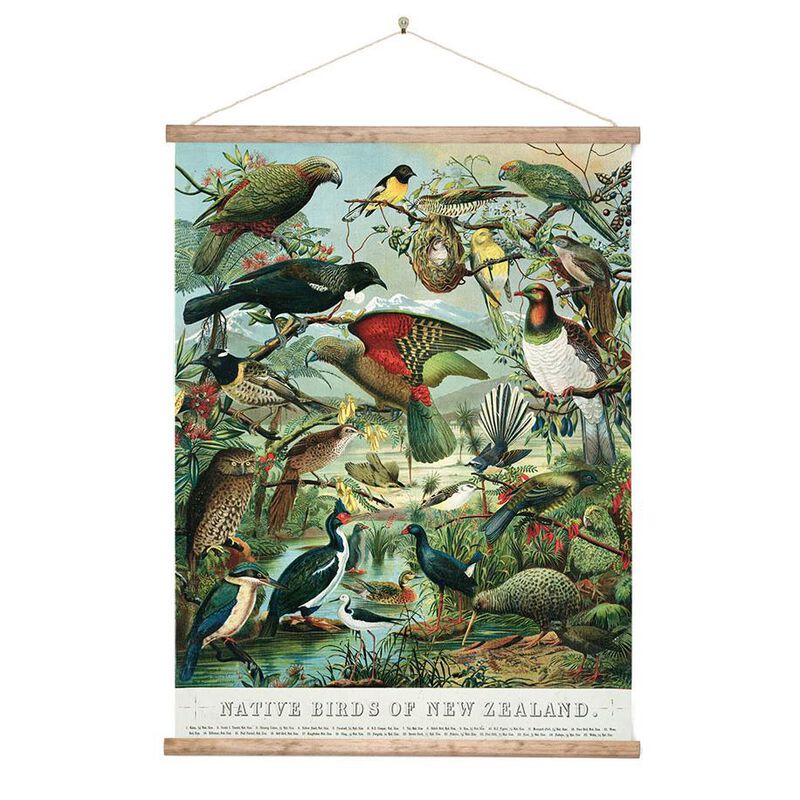NZ Native Birds Wall Chart image number 0