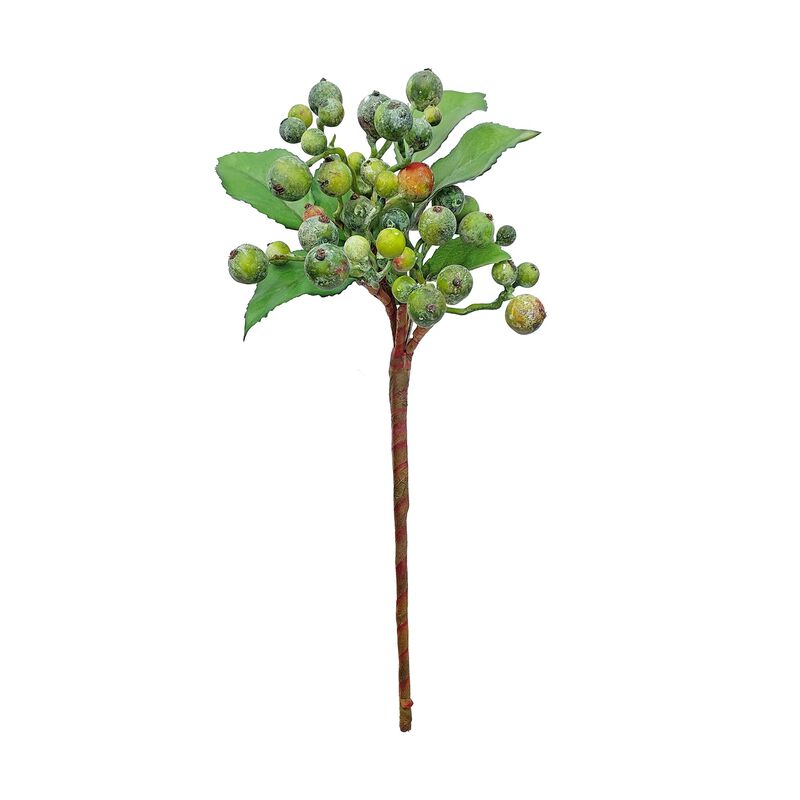 Wildberry Spray Natural 28cm image number 0