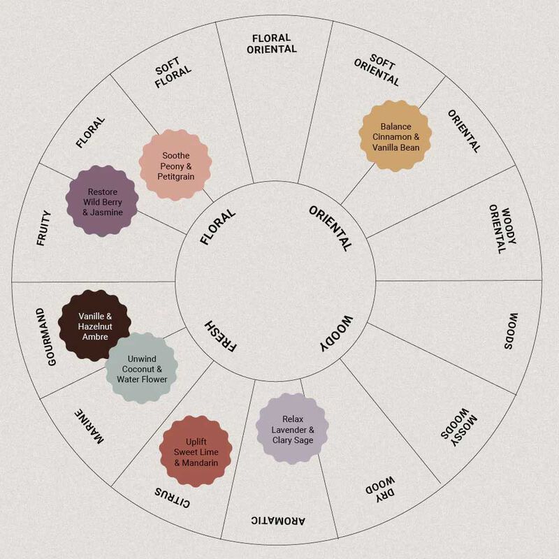 Therapy Candle Embrace 260g - Vanille & Hazelnut Ambre image number 3