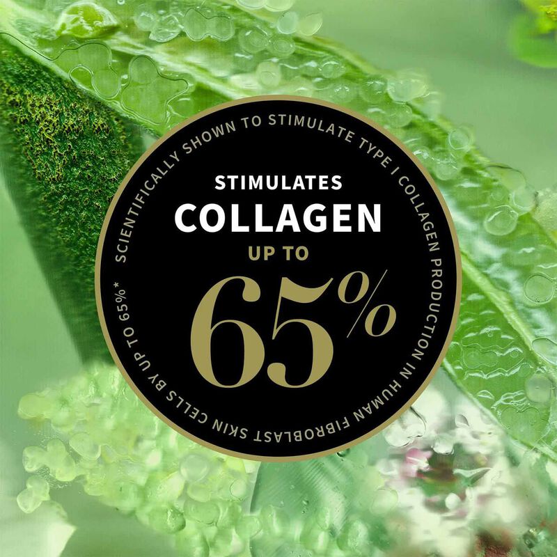 Antipodes Lime Caviar Collagen-Rich Firming Cream 60ml image number 1