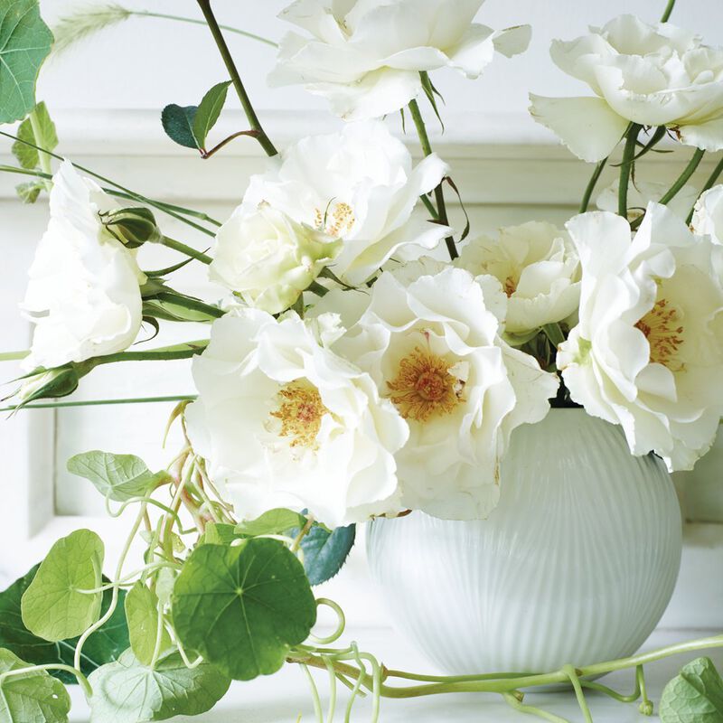 Wedgwood White Folia Rose Bowl 13cm image number 2