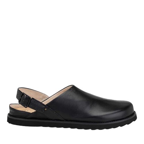 Chaos & Harmony Orbit Mule