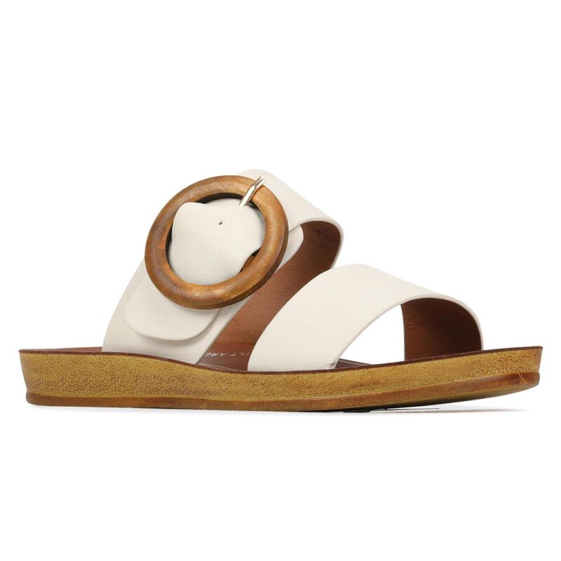 Los Cabos Damani Slide image number 2