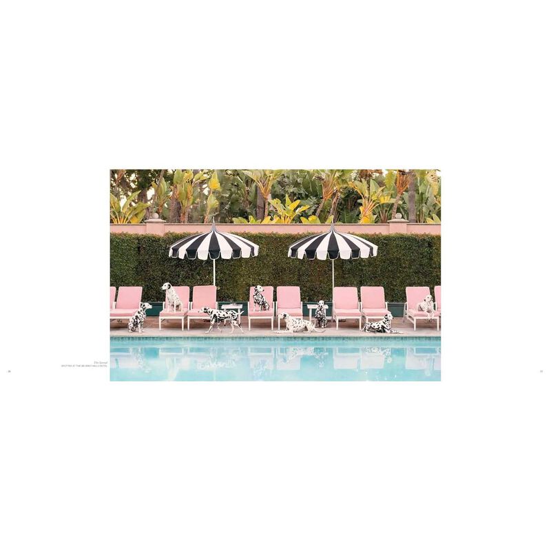 Gray Malin: Dogs image number 2