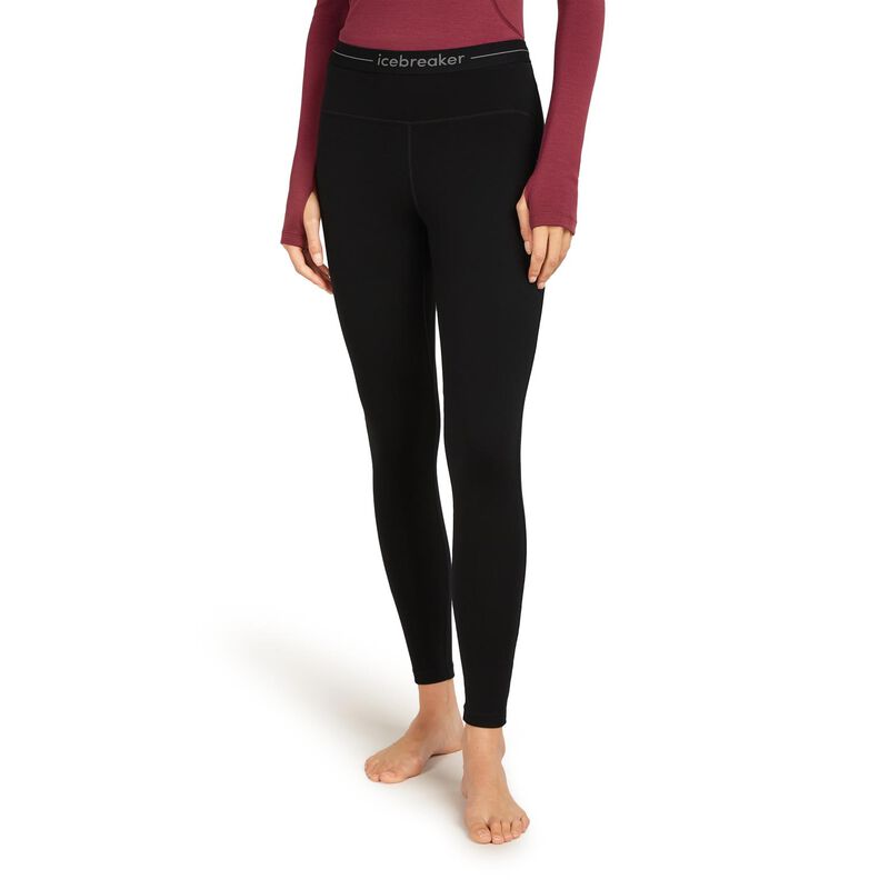 Icebreaker W 300 MerinoFine Polar Leggings image number 0