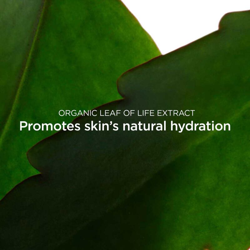 Clarins Fresh Scrub 50ml image number 2