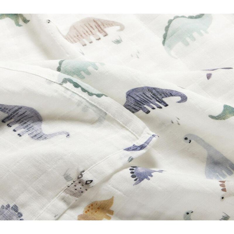 Pottery Barn Kids Organic Dillon Dino Swaddle Set Of 2 image number 2