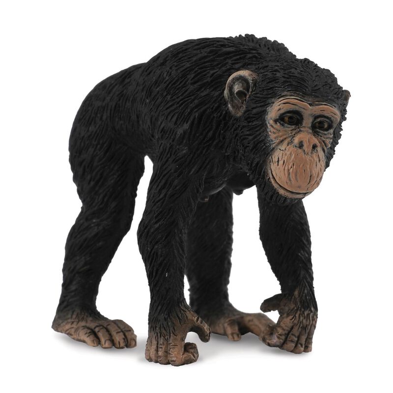 Collecta Chimpanzee Female  Figurine M image number 0