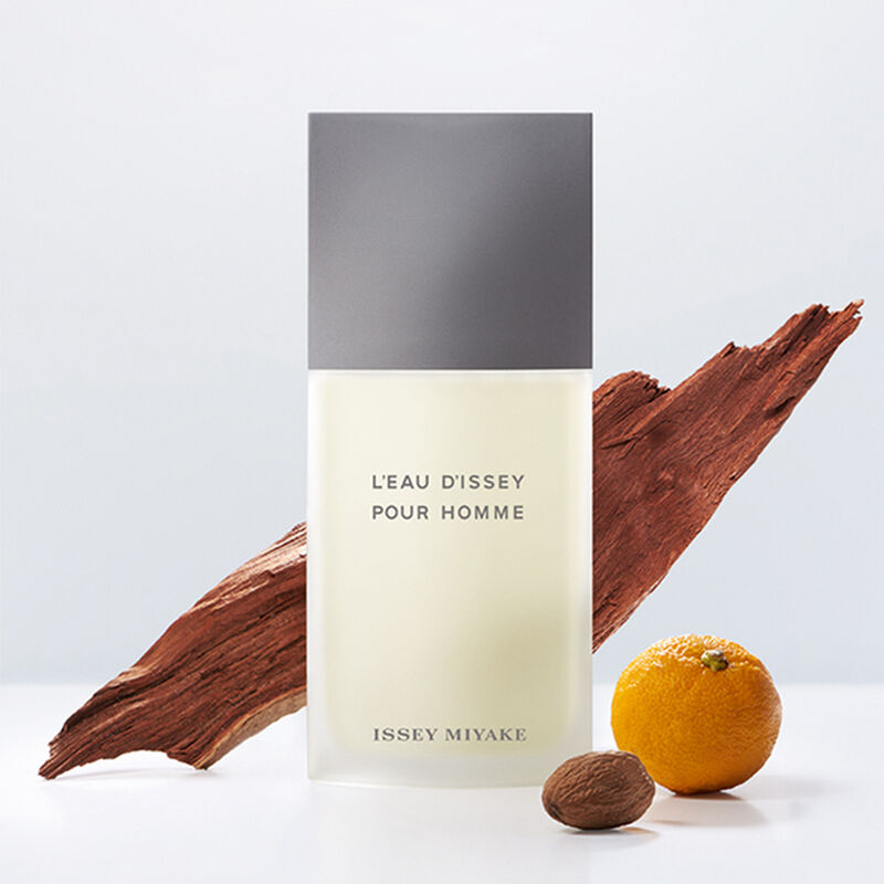 Issey Miyake L'Eau D'Issey Pour Homme EDT 75ml image number 2