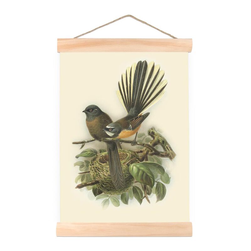 Buller's Fantail Wall Chart image number 0