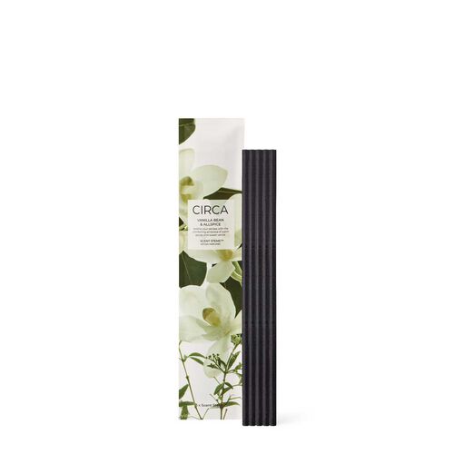 CIRCA Vanilla Bean & Allspice Scent Stems™ Refill