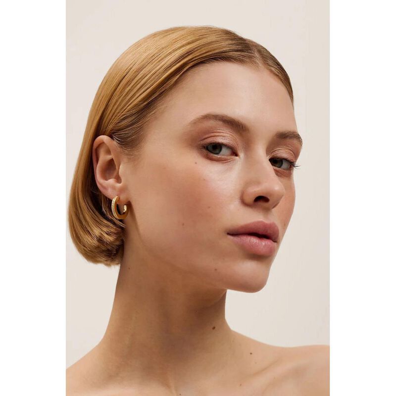 Ted Baker Sinliaa Crystal Hoop Earrings image number 2