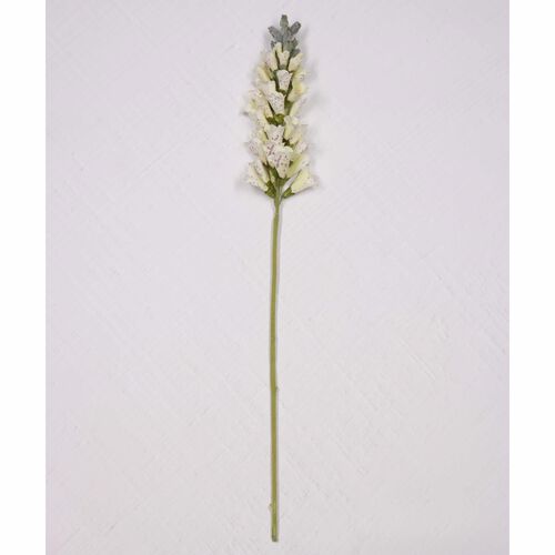 Large Foxglove White