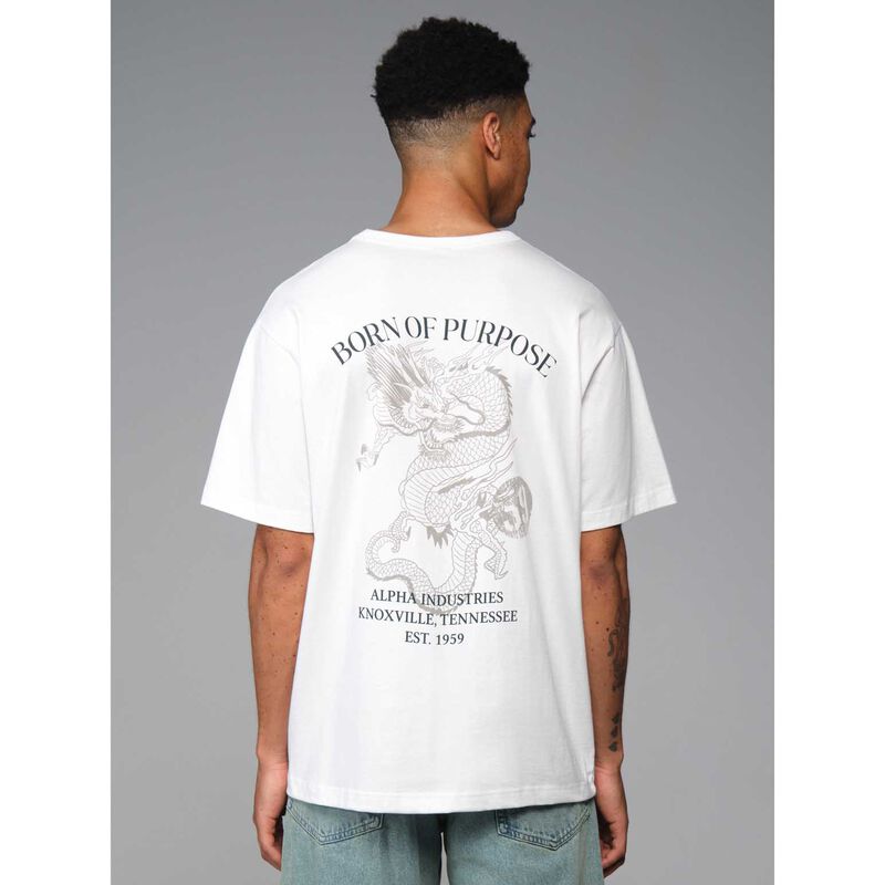 Alpha Industries Essential Relaxed Fit Tee (Dragon) image number 1