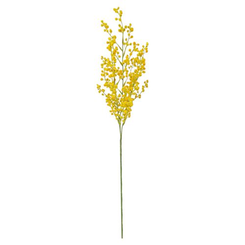 Alison's Acquisitions Mimosa Yellow