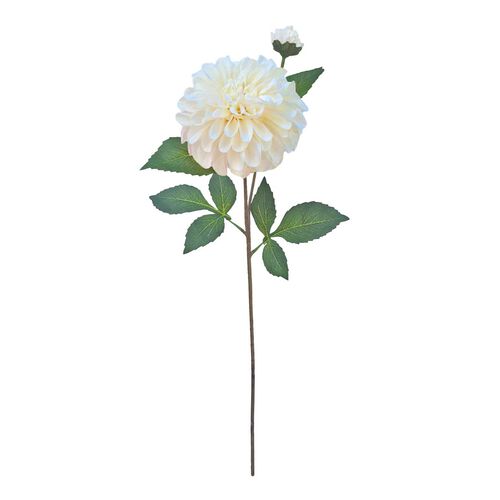 Alison's Acquisitions Pom Pom Dahlia Cream