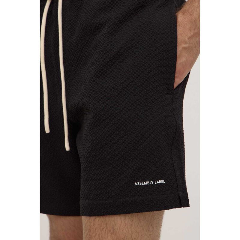 Assembly Label Seth Swim Short Black image number 2