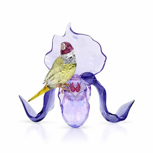 Swarovski Idyllia Gouldian Finch and Orchid