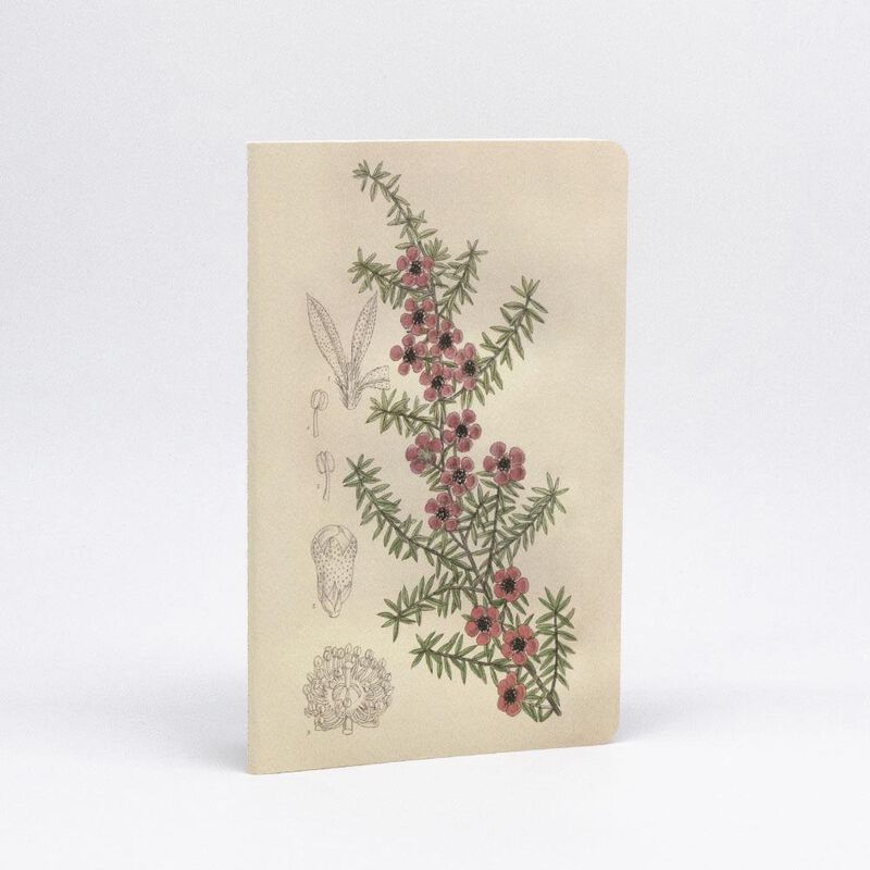 Botanical Illustration Notebook Set image number 2