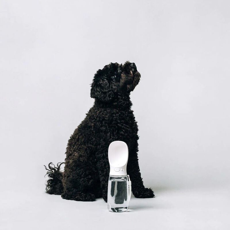 ThirstyDog Water Bottle - White image number 2