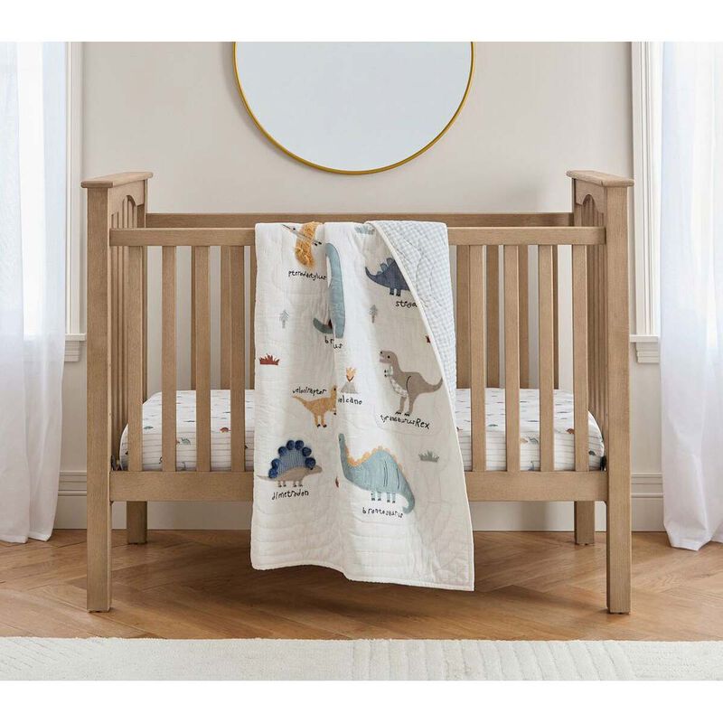 Pottery Barn Kids Organic Dillon Dino Stripe Crib Fitted Sheet image number 1