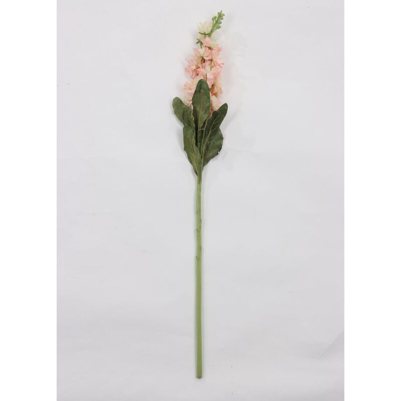 Double Stock Apricot image number 0