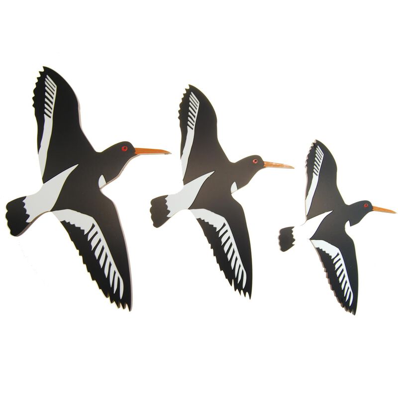 Ian Blackwell NZ Airways Oyster Catcher Large image number 1