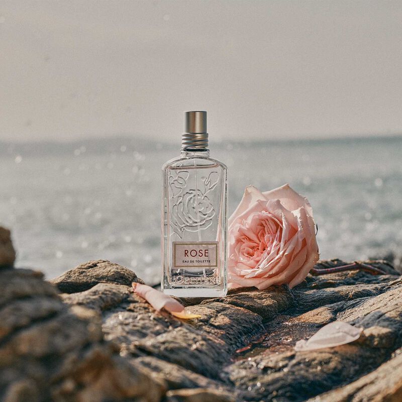 L'Occitane Rose EDT 75ml image number 1