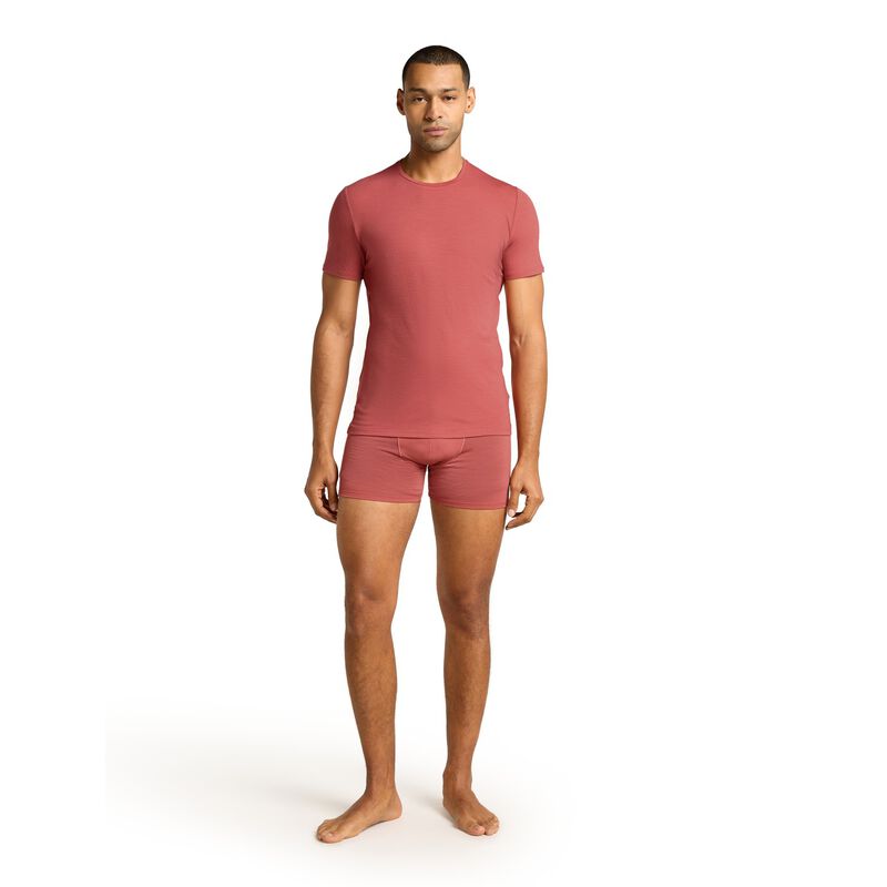 Icebreaker Mens Anatomica Boxers image number 25