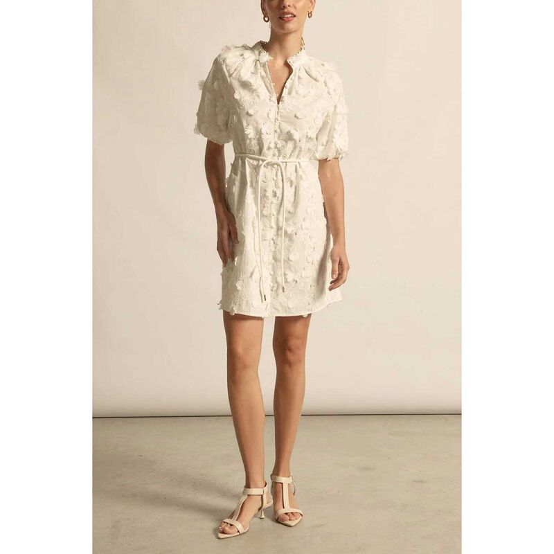 Zoe Kratzmann Aspect Dress image number 3