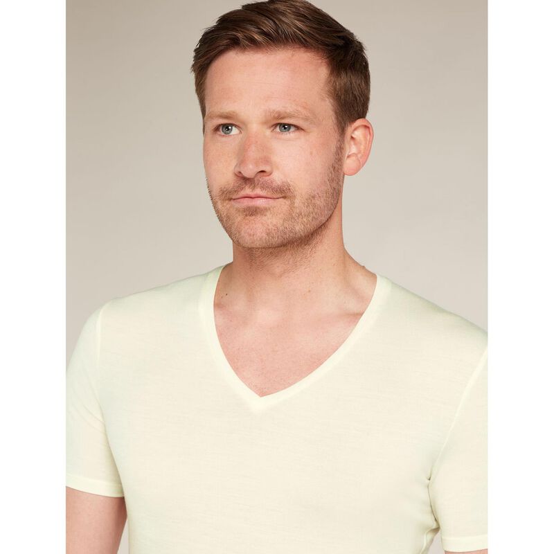 Icebreaker Mens Anatomica SS V image number 2