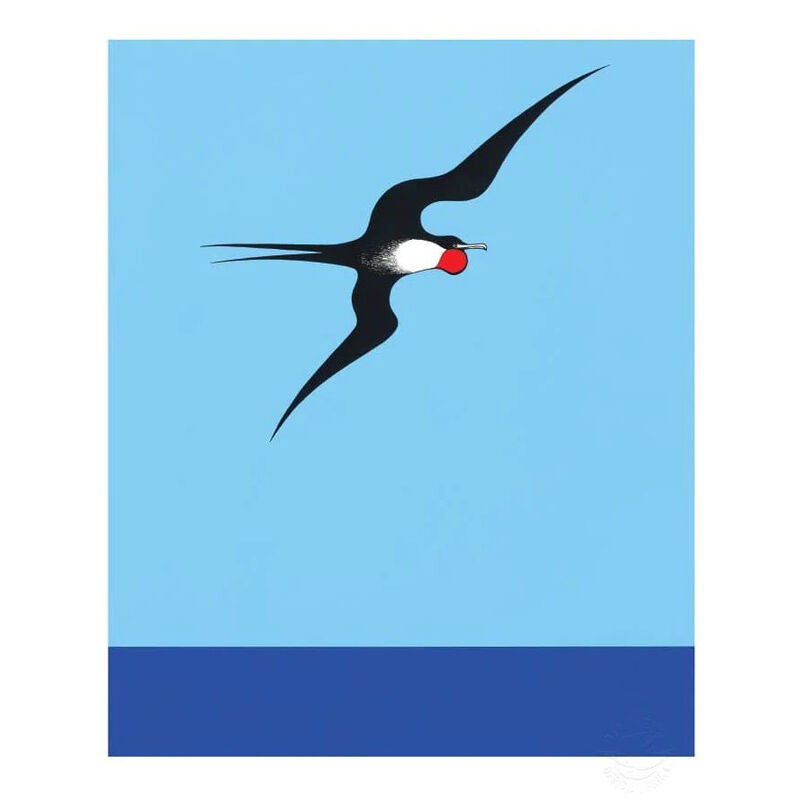 Don Binney Pacific Frigate Bird Print image number 0