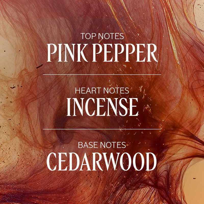 L'Occitane Baux Stick Deodorant 70Gr image number 2