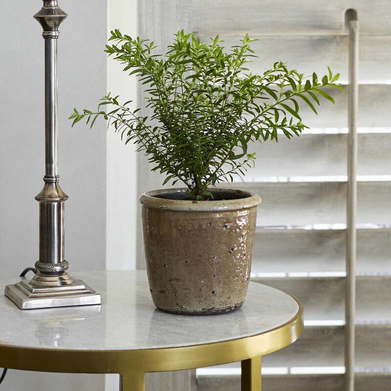 French Country Stone Glazed Terracotta Pot image number 1