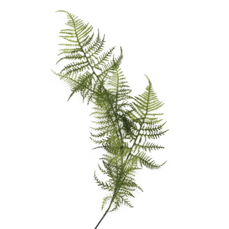Leather Fern Spray image number 0