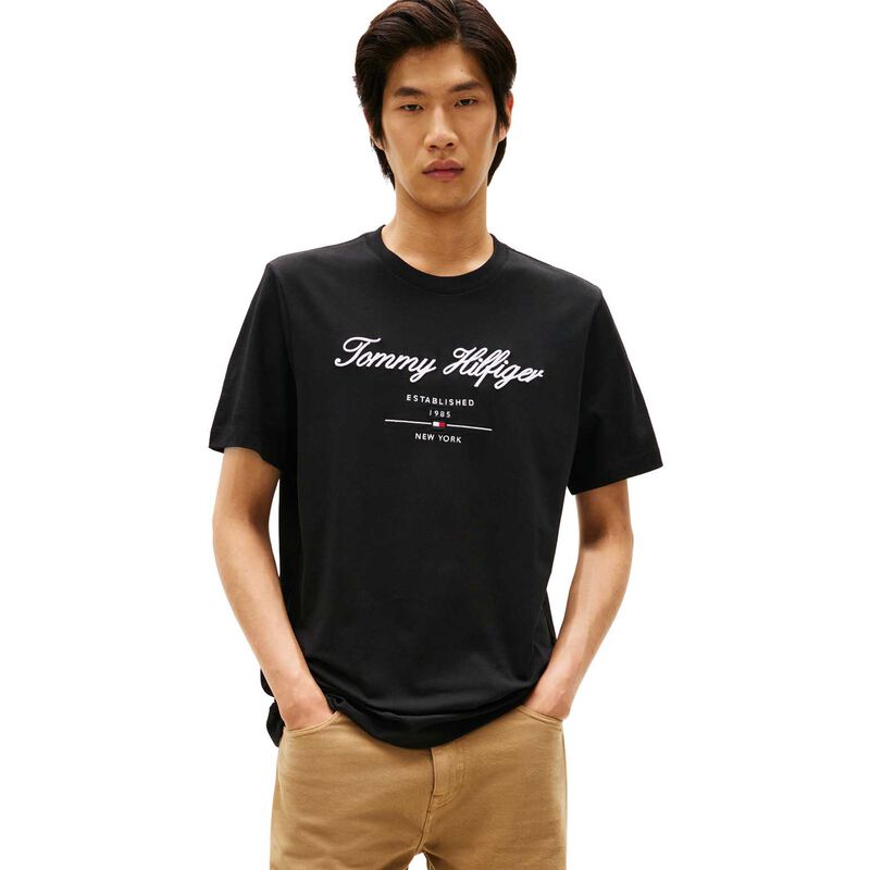 Tommy Hilfiger Script Logo Tee image number 0