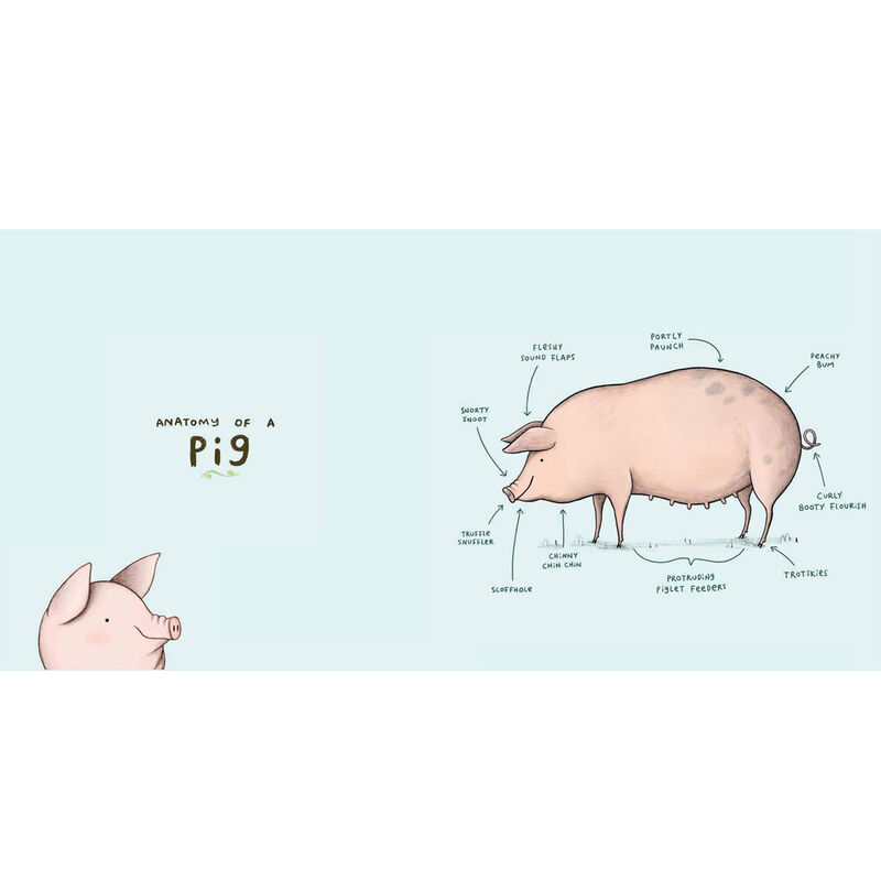 Animal Anatomy by Sophie Corrigan image number 2