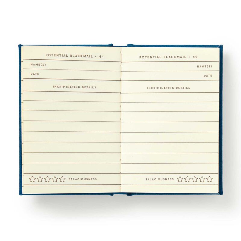 Brass Monkey Future Blackmail Tiny Diary image number 2