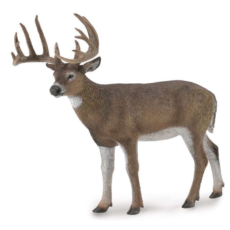 CollectA White Tailed Deer Figurine L image number 0