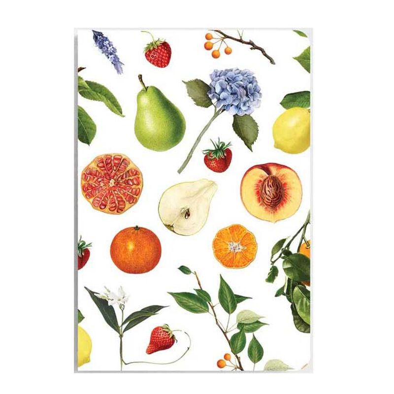 Father Rabbit Stationery Summer Fruits A5 Notebook image number 0