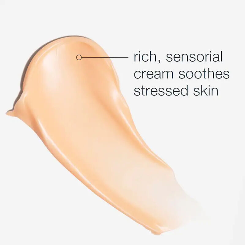 Dermalogica Multivitamin Power Recovery Cream 50ml image number 1