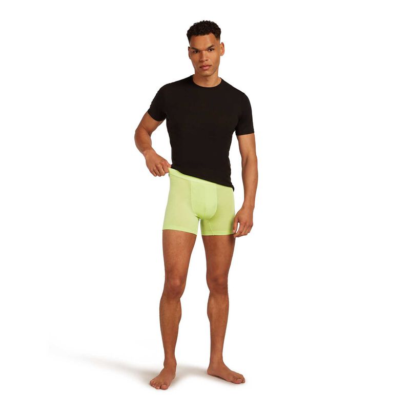 Icebreaker M Merino Blend 125 Cool-Lite Anatomica Boxers image number 15