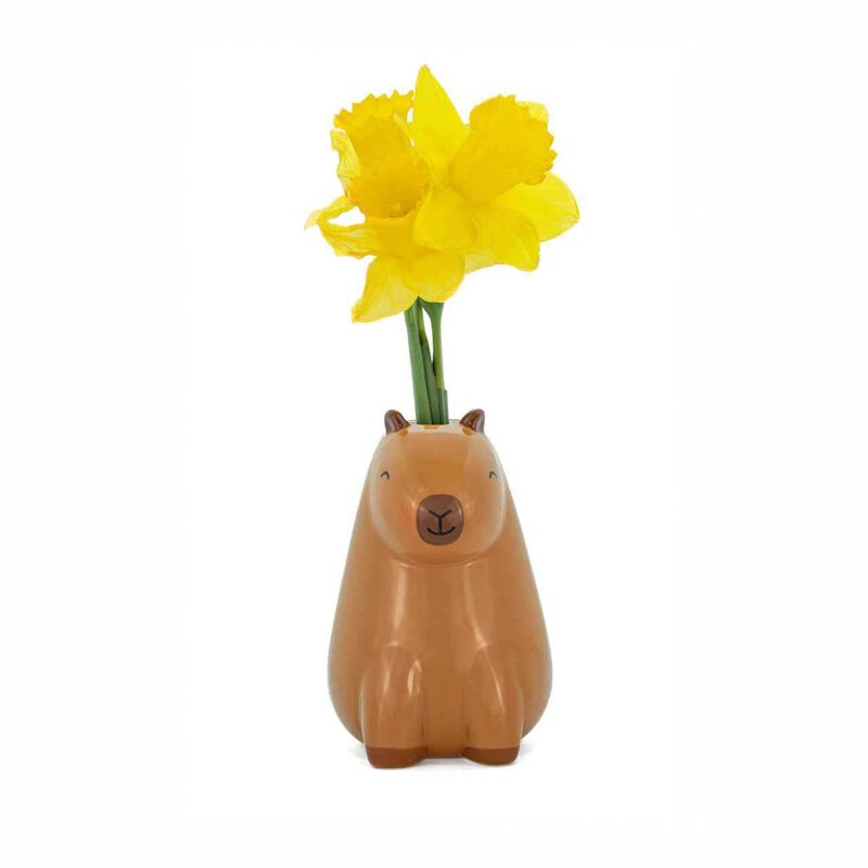Sass & Belle Peeking Capybara Vase image number 2